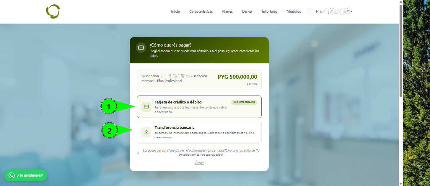 Opciones de pago