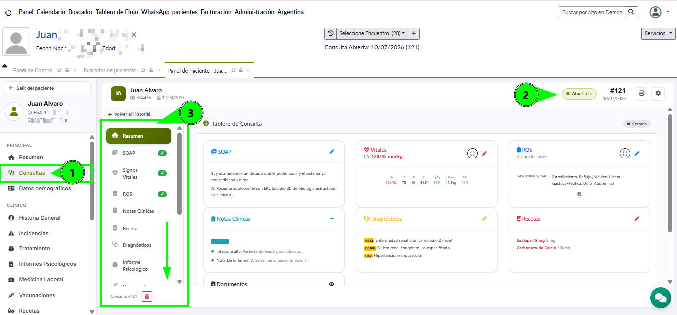 Panel de consulta